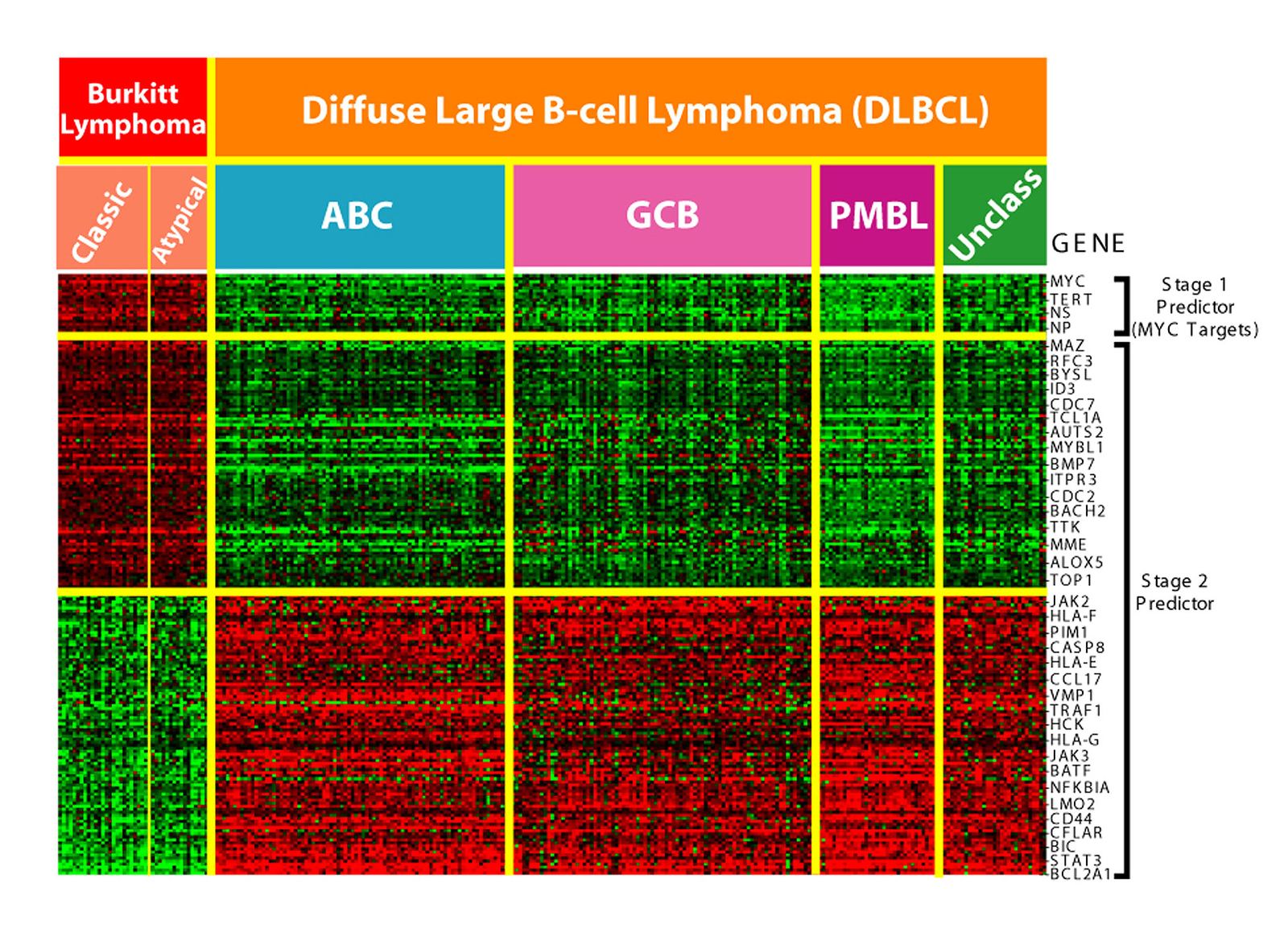 A DNA microarray scan made of thousands of tiny glowing red, green and yellow dots in a grid
