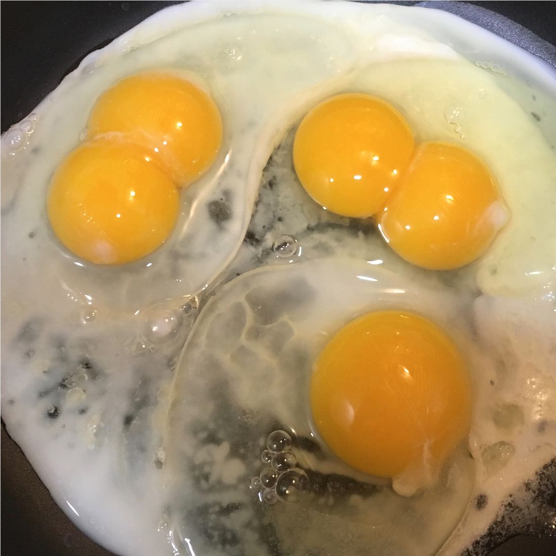 A double-yolk hen egg next to a single-yolk egg for comparison